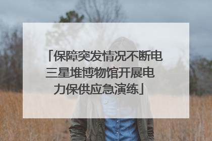 保障突发情况不断电 三星堆博物馆开展电力保供应急演练