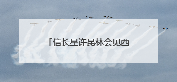 信长星许昆林会见西藏拉萨党政代表团