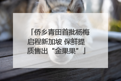 侨乡青田首批杨梅启程新加坡 保鲜提质售出“金果果”