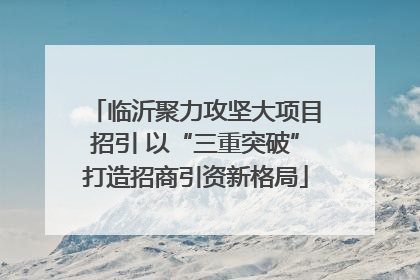 临沂聚力攻坚大项目招引 以“三重突破”打造招商引资新格局
