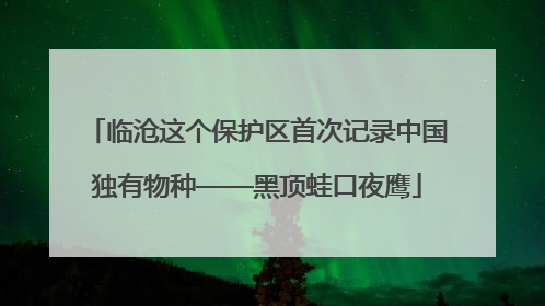 临沧这个保护区首次记录中国独有物种——黑顶蛙口夜鹰