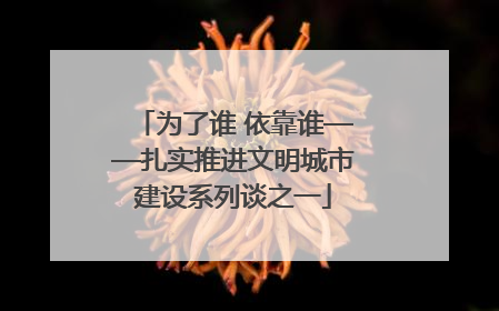 为了谁 依靠谁——扎实推进文明城市建设系列谈之一