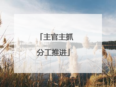 主官主抓 分工推进