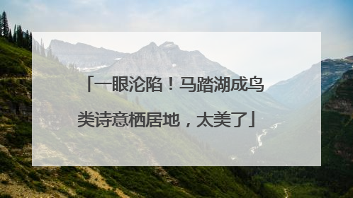一眼沦陷！马踏湖成鸟类诗意栖居地，太美了