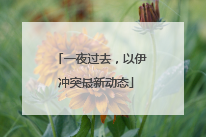 一夜过去，以伊冲突最新动态