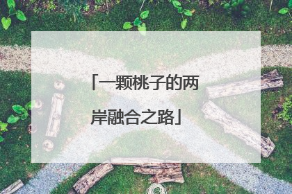 一颗桃子的两岸融合之路