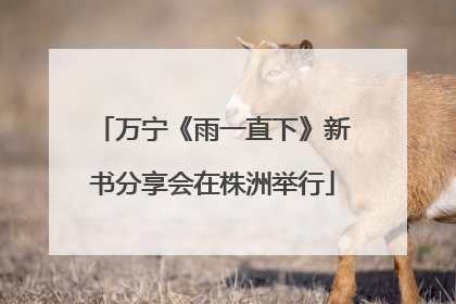 万宁《雨一直下》新书分享会在株洲举行