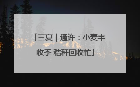 三夏｜通许：小麦丰收季 秸秆回收忙