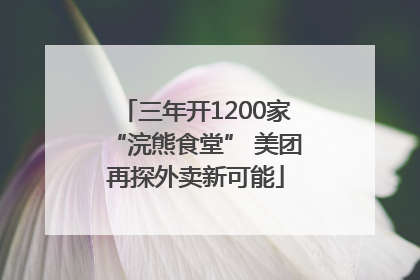 三年开1200家“浣熊食堂” 美团再探外卖新可能