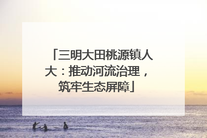 三明大田桃源镇人大：推动河流治理，筑牢生态屏障