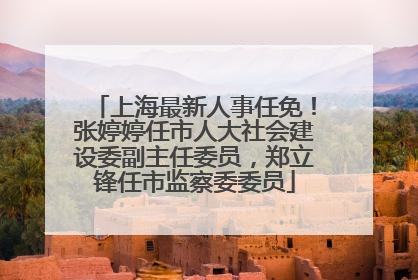 上海最新人事任免！张婷婷任市人大社会建设委副主任委员，郑立锋任市监察委委员