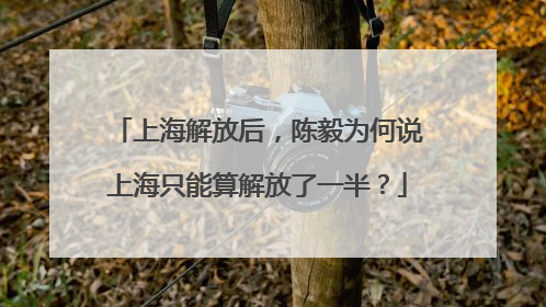 上海解放后，陈毅为何说上海只能算解放了一半？