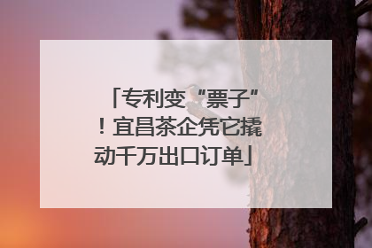 专利变“票子”！宜昌茶企凭它撬动千万出口订单