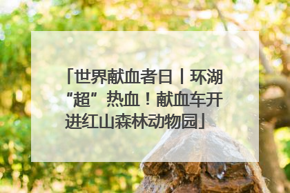 世界献血者日丨环湖“超”热血！献血车开进红山森林动物园