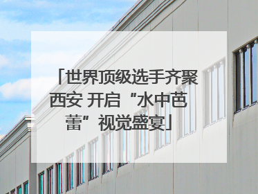 世界顶级选手齐聚西安 开启“水中芭蕾”视觉盛宴