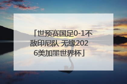 世预赛国足0-1不敌印尼队 无缘2026美加墨世界杯