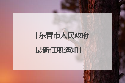 东营市人民政府最新任职通知