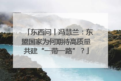 东西问丨冯慧兰：东盟国家为何期待高质量共建“一带一路”？