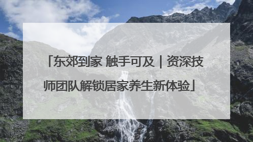 东郊到家 触手可及｜资深技师团队解锁居家养生新体验