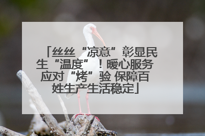 丝丝“凉意”彰显民生“温度”！暖心服务应对“烤”验 保障百姓生产生活稳定