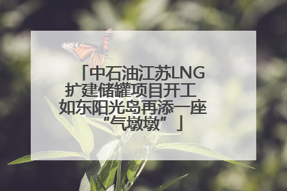 中石油江苏LNG扩建储罐项目开工 如东阳光岛再添一座“气墩墩”