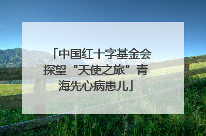 中国红十字基金会探望“天使之旅”青海先心病患儿