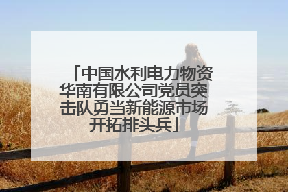 中国水利电力物资华南有限公司党员突击队勇当新能源市场开拓排头兵