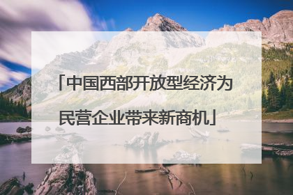中国西部开放型经济为民营企业带来新商机