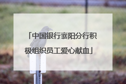 中国银行襄阳分行积极组织员工爱心献血
