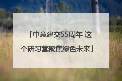 中意建交55周年 这个研习营聚焦绿色未来