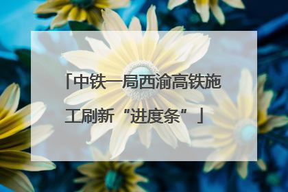 中铁一局西渝高铁施工刷新“进度条”