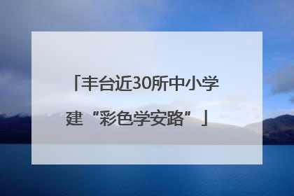 丰台近30所中小学建“彩色学安路”