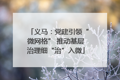 义马：党建引领“微网格” 推动基层治理细“治”入微