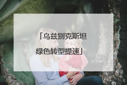 乌兹别克斯坦绿色转型提速