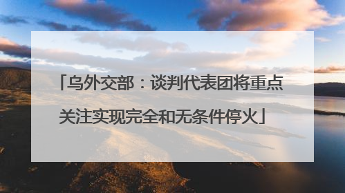 乌外交部：谈判代表团将重点关注实现完全和无条件停火