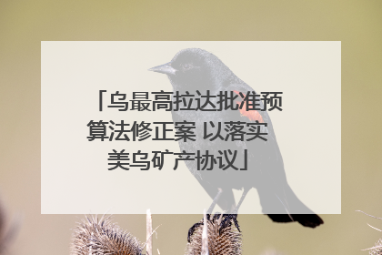 乌最高拉达批准预算法修正案 以落实美乌矿产协议