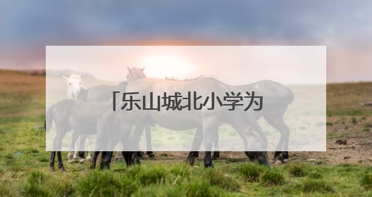 乐山城北小学为数学学科的深度教学与思维培养注入新的活力