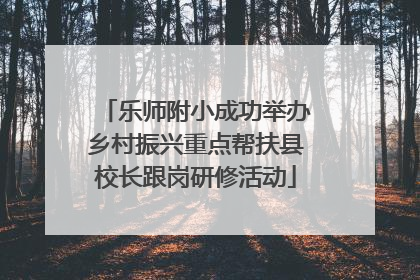 乐师附小成功举办乡村振兴重点帮扶县校长跟岗研修活动