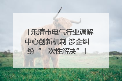 乐清市电气行业调解中心创新机制 涉企纠纷“一次性解决”