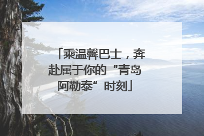 乘温馨巴士，奔赴属于你的“青岛阿勒泰”时刻