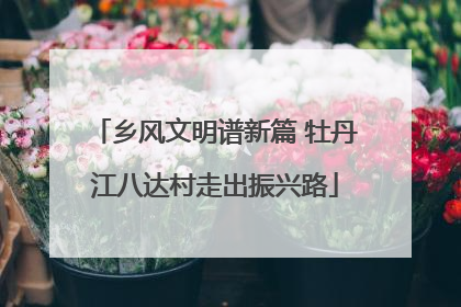乡风文明谱新篇 牡丹江八达村走出振兴路