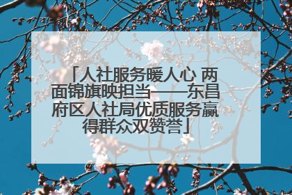 人社服务暖人心 两面锦旗映担当——东昌府区人社局优质服务赢得群众双赞誉