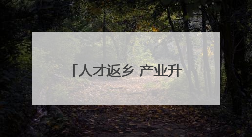 人才返乡 产业升级！李海务街道绘就乡村振兴新图景