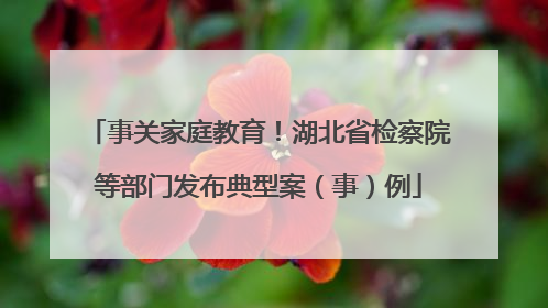 事关家庭教育！湖北省检察院等部门发布典型案（事）例