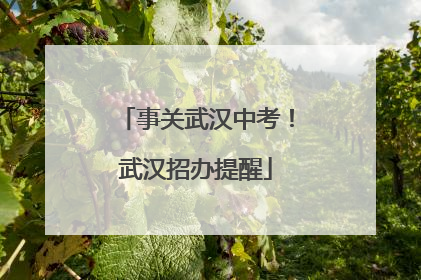 事关武汉中考！武汉招办提醒