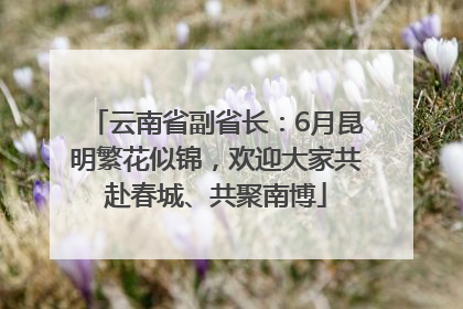 云南省副省长：6月昆明繁花似锦，欢迎大家共赴春城、共聚南博