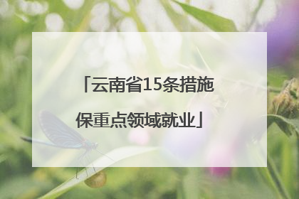 云南省15条措施保重点领域就业
