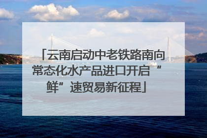 云南启动中老铁路南向常态化水产品进口开启“鲜”速贸易新征程
