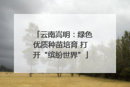 云南嵩明：绿色优质种苗培育 打开“缤纷世界”