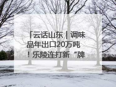 云话山东｜调味品年出口20万吨！乐陵连打新“牌”助力企业出海